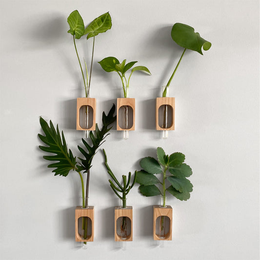 Wall propagation station/ Test tube plant station