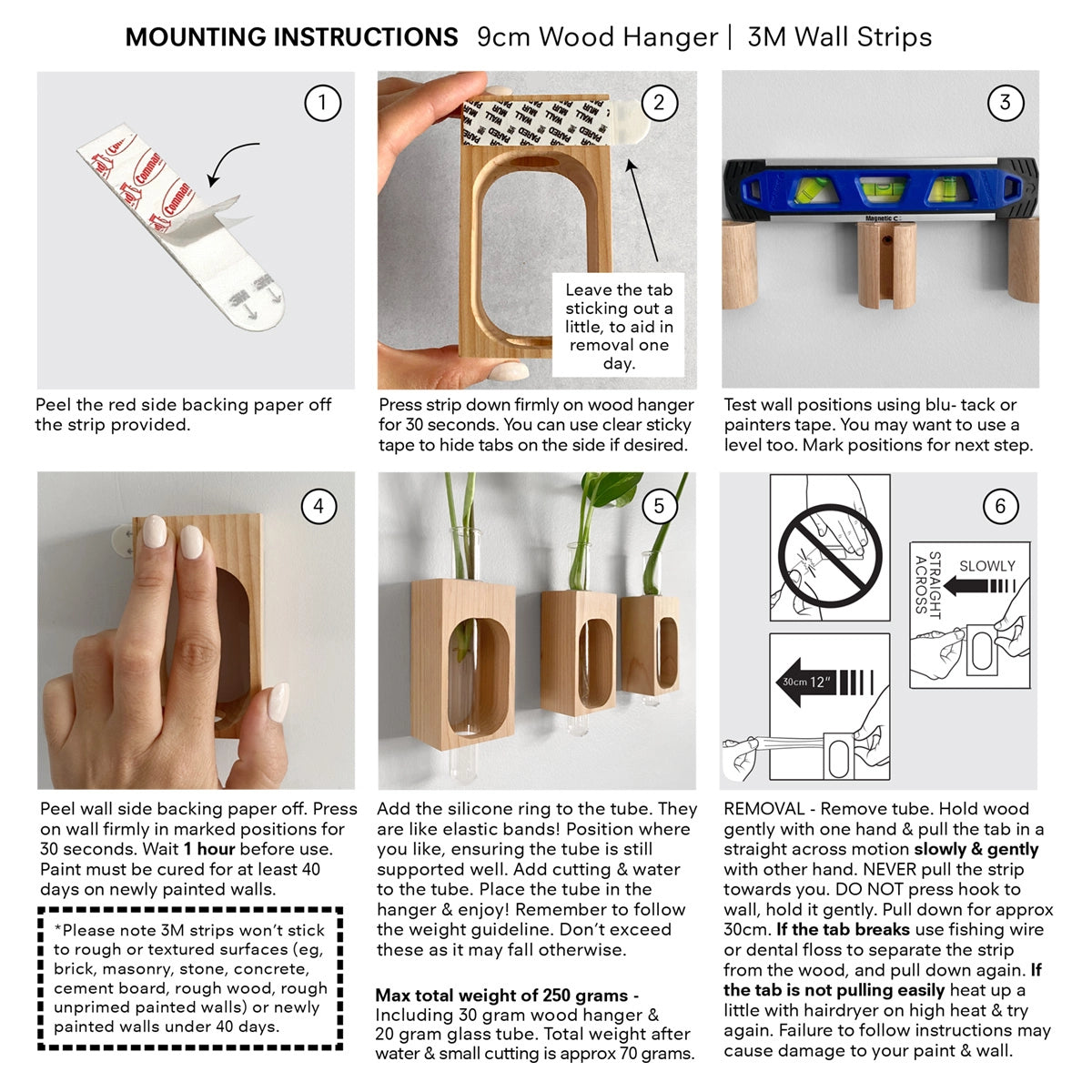 Wall propagation station/ Test tube plant station